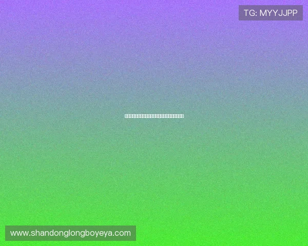 飞驰体育用品引领运动潮流打造品质生活升级新体验